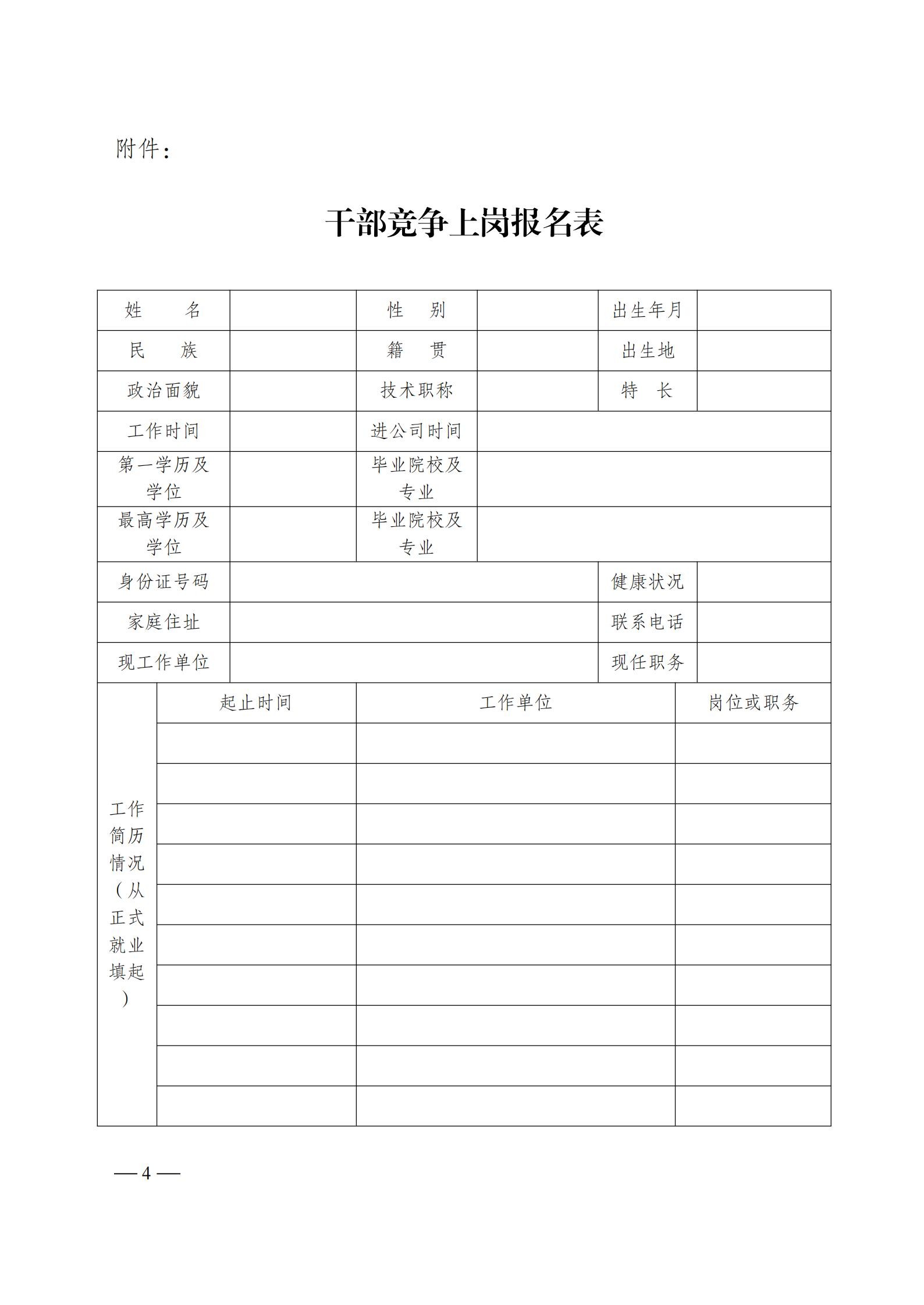 中色地科|礦產(chǎn)勘查|