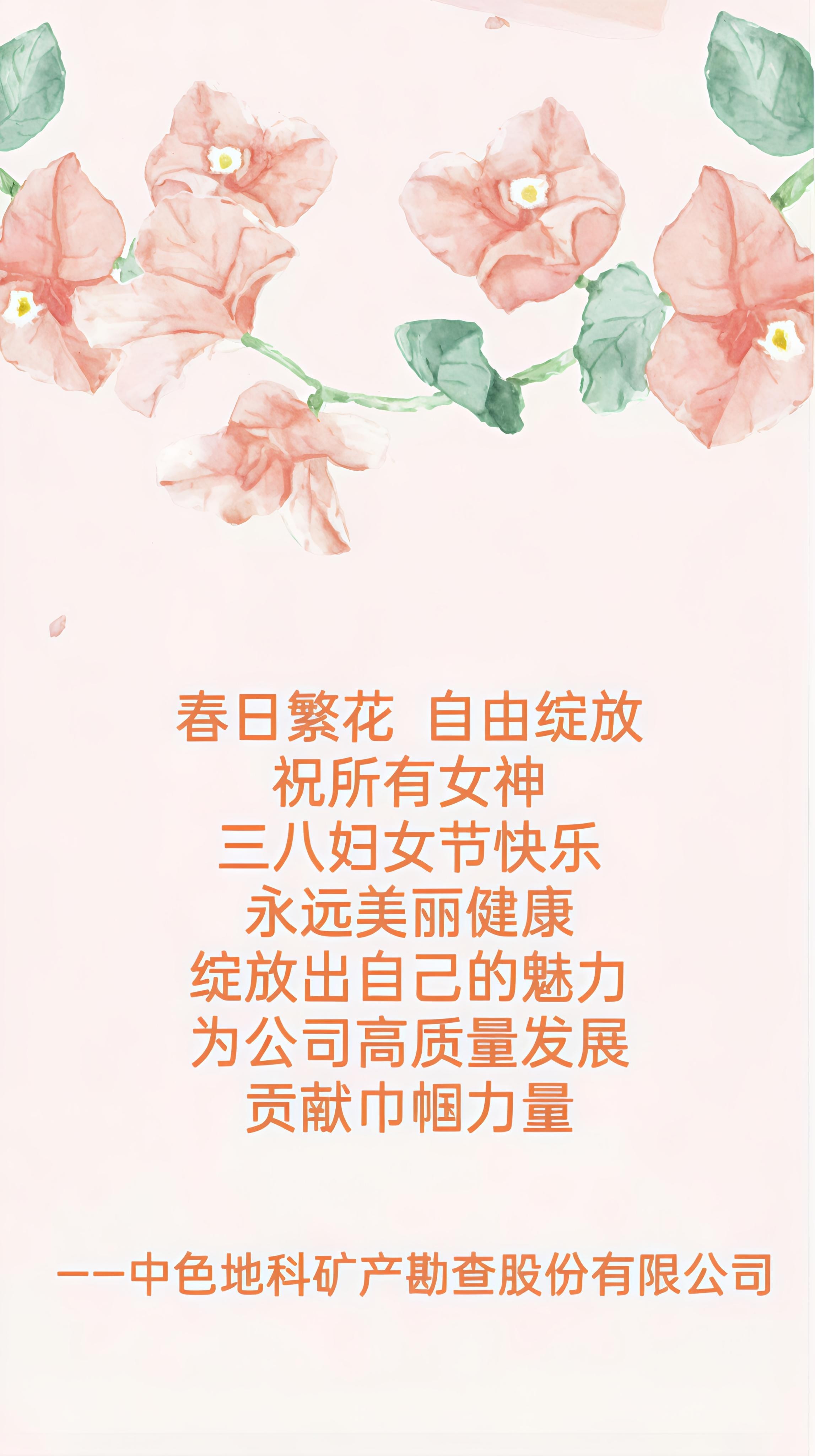 中色地科|礦產(chǎn)勘查|