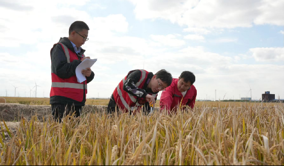 中色地科|礦產(chǎn)勘查| 中色地科|礦產(chǎn)勘查|