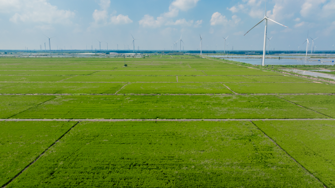 中色地科|礦產(chǎn)勘查| 中色地科|礦產(chǎn)勘查|